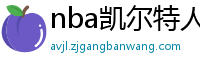 nba凯尔特人vs热火